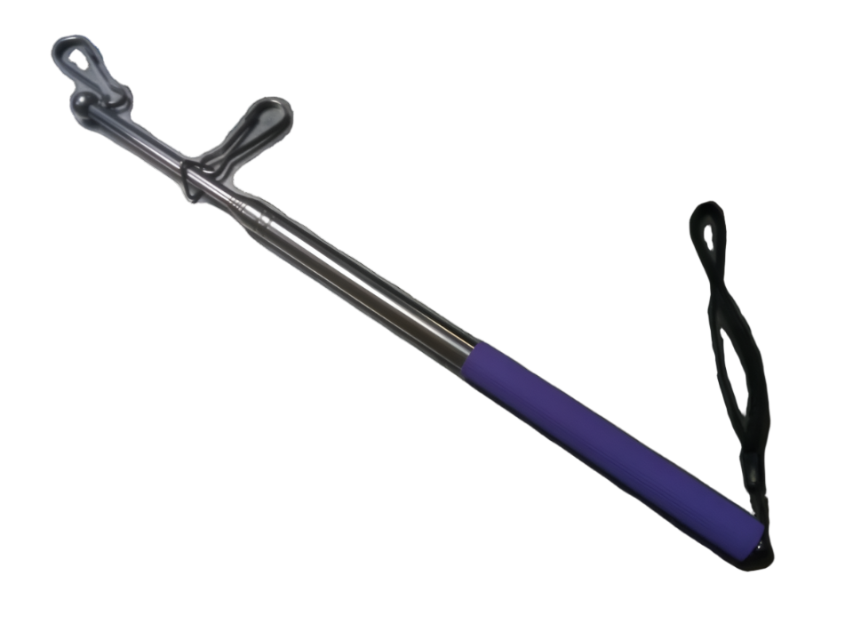 Mât violet (Candidat)