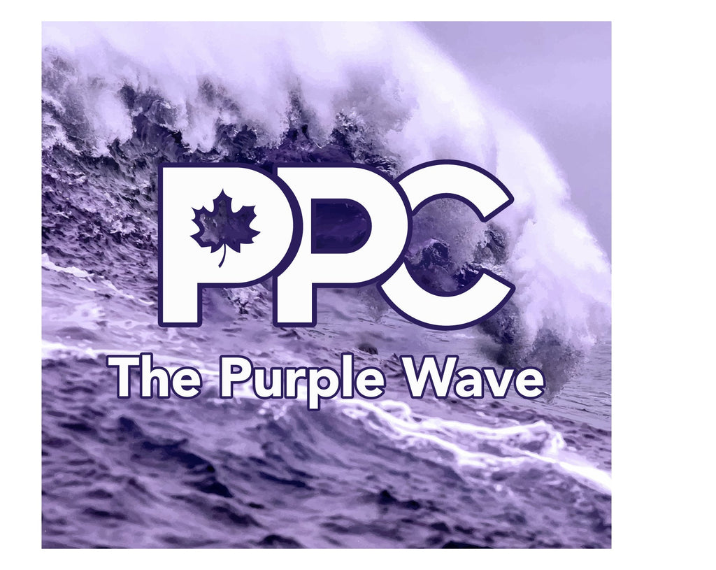 PPC - Le T-shirt Vague Violette (Candidat)